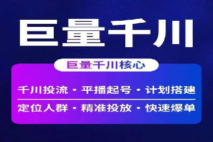 SEO百度推广策略：成功案例解析